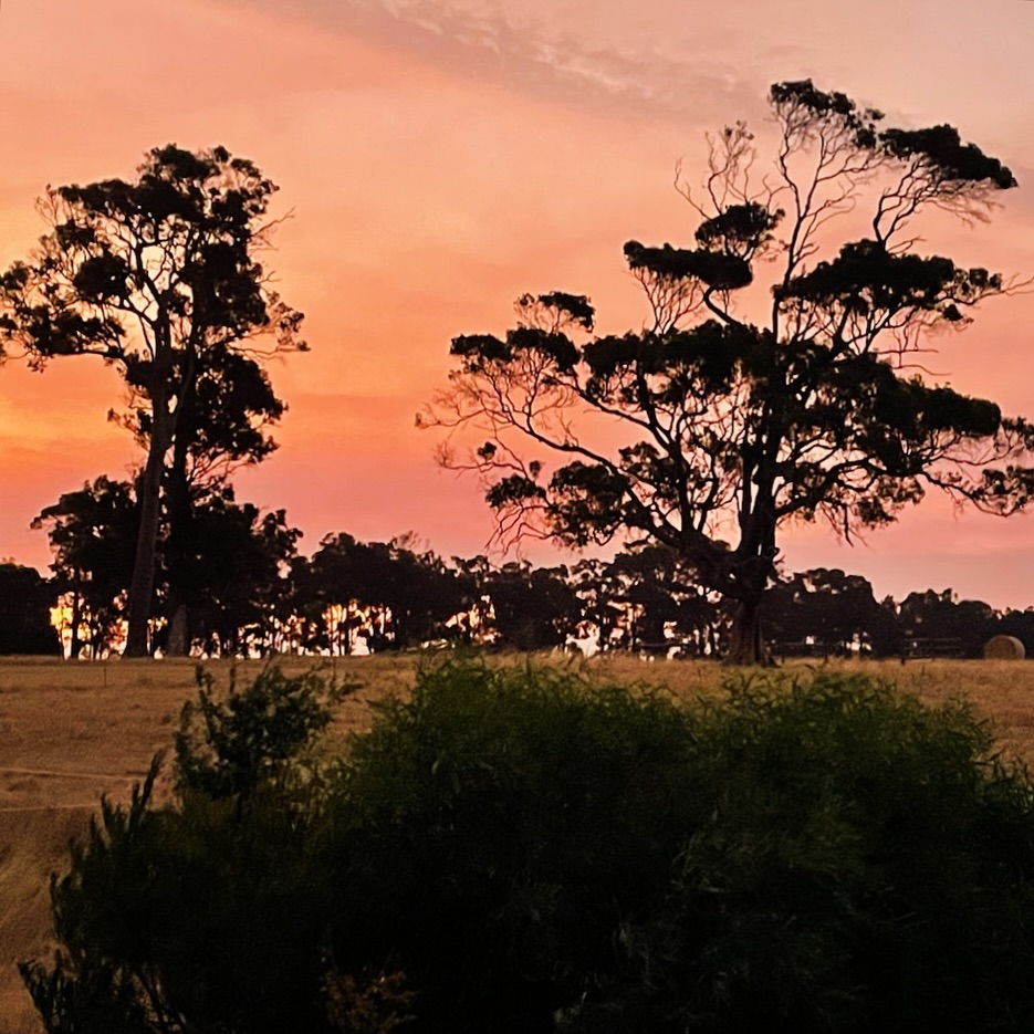 How’s your evening going?

📸 @acesatthemaj 

#margaretriver #airbnbaustralia #sunset #sunsetlovers