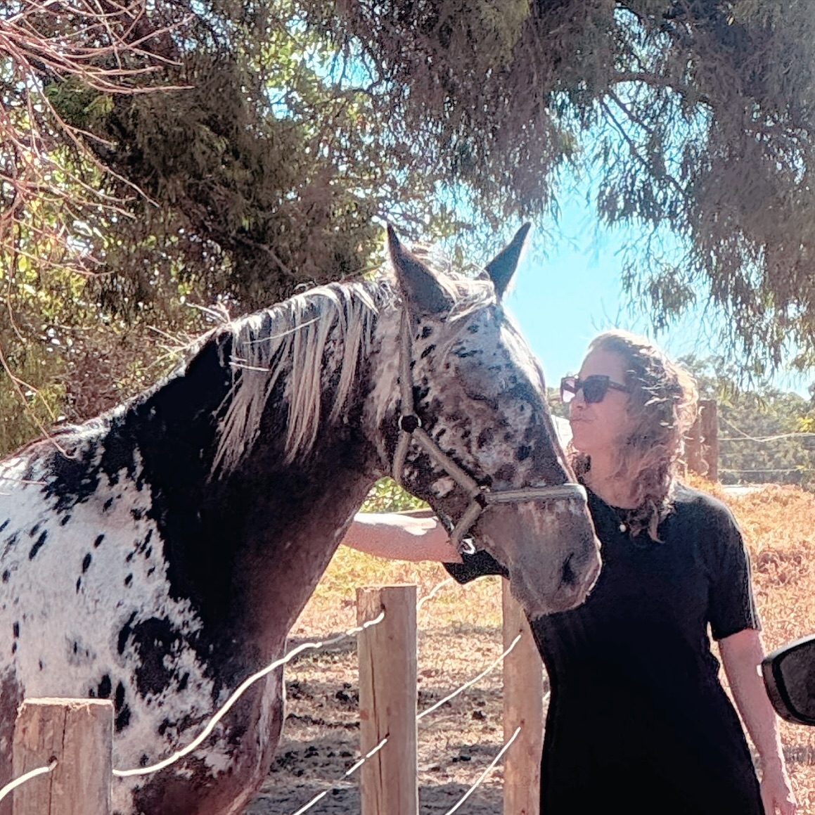 This wedding photographer couldn’t resist being waylaid en route to today’s ceremony. Who can blame her? 😝

📸 @anitarevel 
⭐️ @kendrabensonphotography 

#horselove #farmwedding #cowaramup #knabstrupper